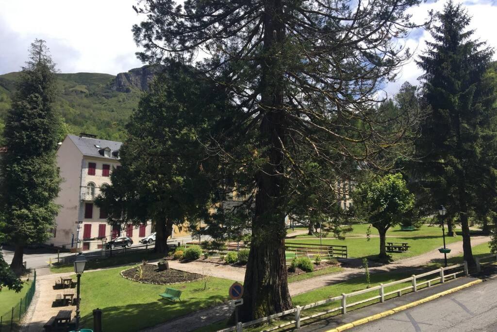 Cocon De La Vallee D'Ossau , Veritable Havre De Paix - 4 A 6 Pers 오-본느 외부 사진